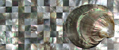 Mother of Pearl Mosaic on Mesh