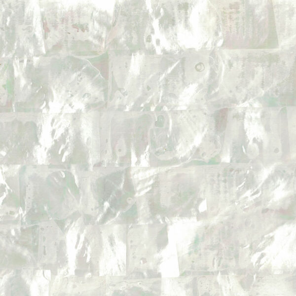 Natural Shell Laminate Veneers « Product categories « ShellShock Designs