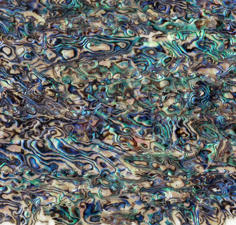 New Zealand Abalone Shell Laminate 3A – ShellShock Designs